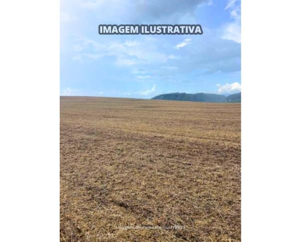 Foto de Sítio Vieira - B Prestes - 30,0540 Hectares - Itapeva/SP