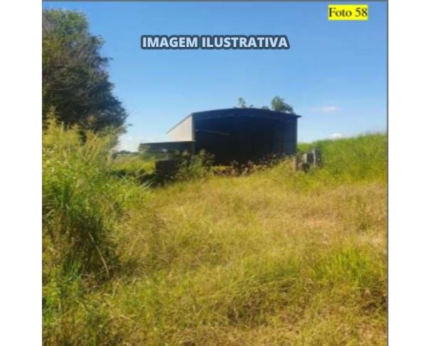 Foto de 2