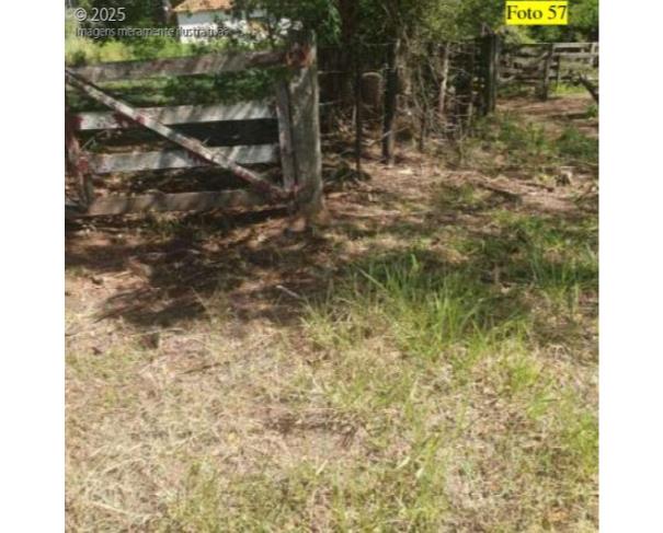 Foto de SÍTIO 4,32 alqueires / 10,457888 hectares - Potirendaba-SP (11,1111% da parte ideal)