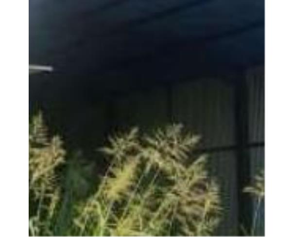 Foto de SÍTIO 4,32 alqueires / 10,457888 hectares - Potirendaba-SP (11,1111% da parte ideal)