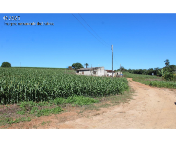 Foto de Imóvel Rural - 64,13 ha - 26,5 alqueires paulista - Sítio Vó Tonha - Bairro da Taipinha - Itapeva/SP