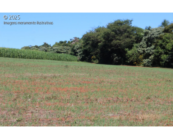 Foto de Imóvel Rural - 64,13 ha - 26,5 alqueires paulista - Sítio Vó Tonha - Bairro da Taipinha - Itapeva/SP