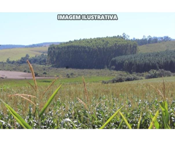 Foto de SÍTIO CAPIM FINO - 20 alq/48,6 ha - Itapeva-SP (50%)