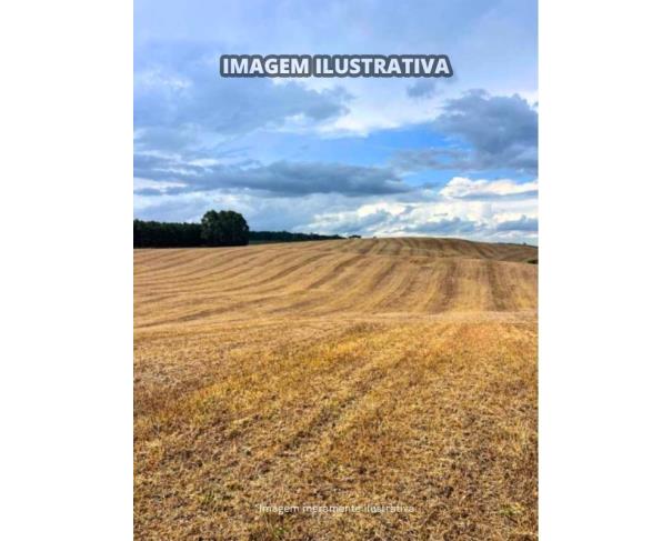 Foto de Sítio Vieira - B Prestes - 30,0540 Hectares - Itapeva/SP
