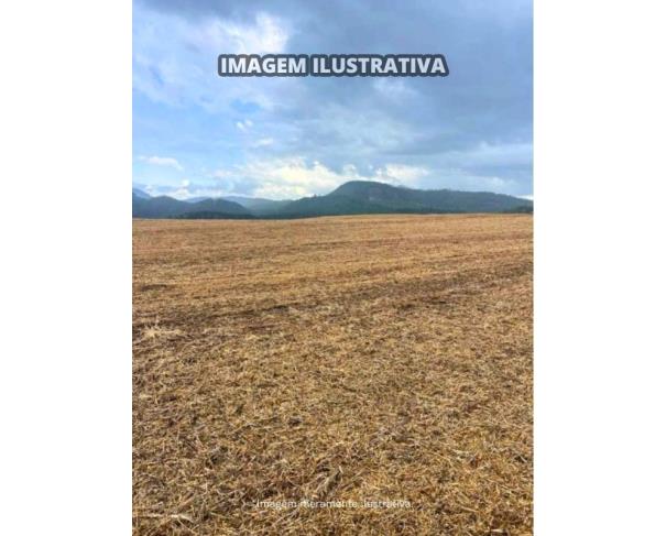Foto de Sítio Vieira - B Prestes - 30,0540 Hectares - Itapeva/SP