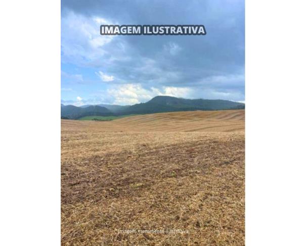 Foto de Sítio Vieira - B Prestes - 30,0540 Hectares - Itapeva/SP