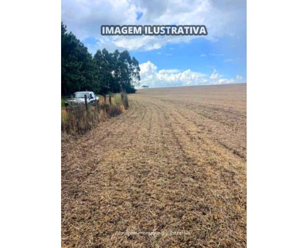 Foto de Sítio Vieira - B Prestes - 30,0540 Hectares - Itapeva/SP