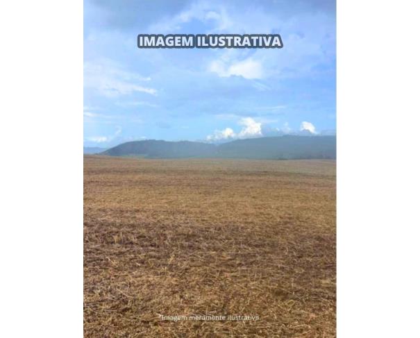 Foto de Sítio Vieira - B Prestes - 30,0540 Hectares - Itapeva/SP