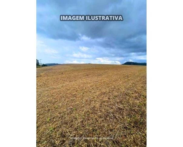 Foto de Sítio Vieira - B Prestes - 30,0540 Hectares - Itapeva/SP