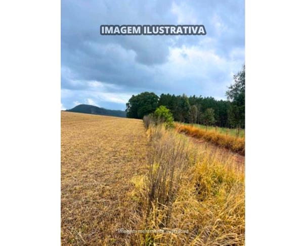 Foto de Sítio Vieira - B Prestes - 30,0540 Hectares - Itapeva/SP