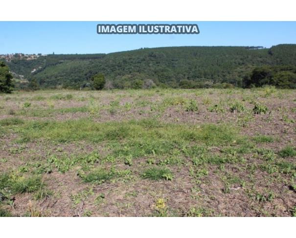 Foto de CHÁCARA ANA - 10 alq/24,20 ha - Itapeva-SP (20%)