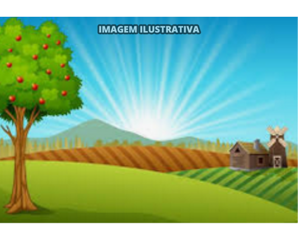 Foto de 1