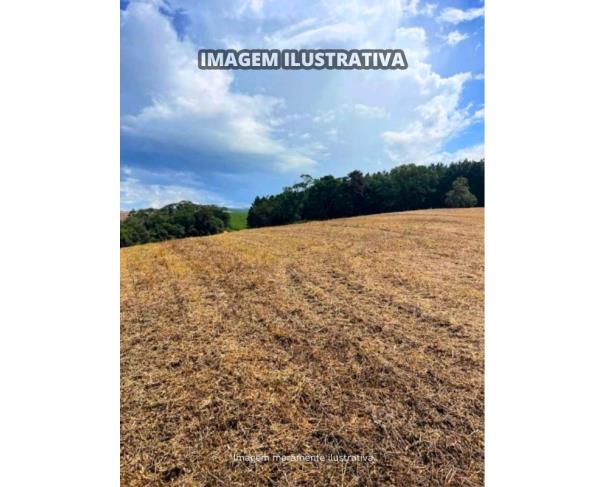 Foto de Sítio Vieira - B Prestes - 30,0540 Hectares - Itapeva/SP