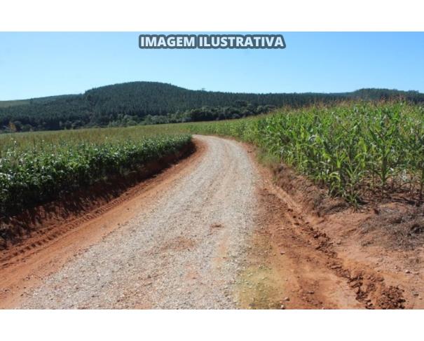 Foto de SÍTIO CAPIM FINO - 20 alq/48,6 ha - Itapeva-SP (50%)