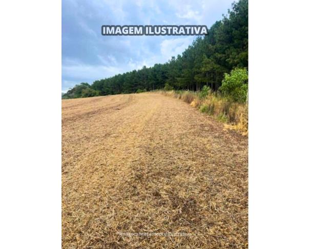 Foto de Sítio Vieira - B Prestes - 30,0540 Hectares - Itapeva/SP