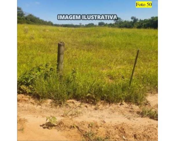 Foto de 3
