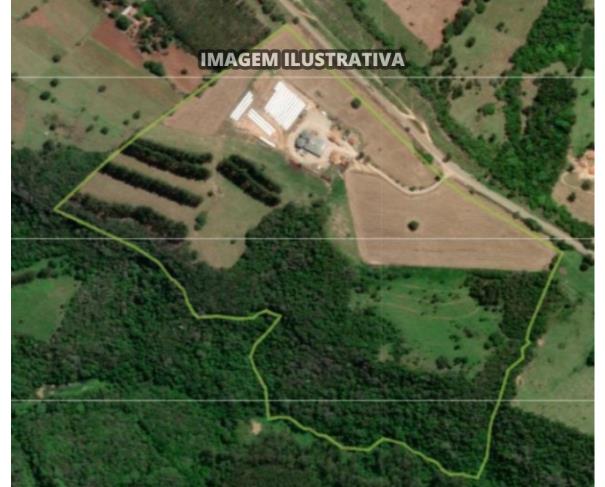 Foto de CHÁCARA ANA - 10 alq/24,20 ha - Itapeva-SP (20%)