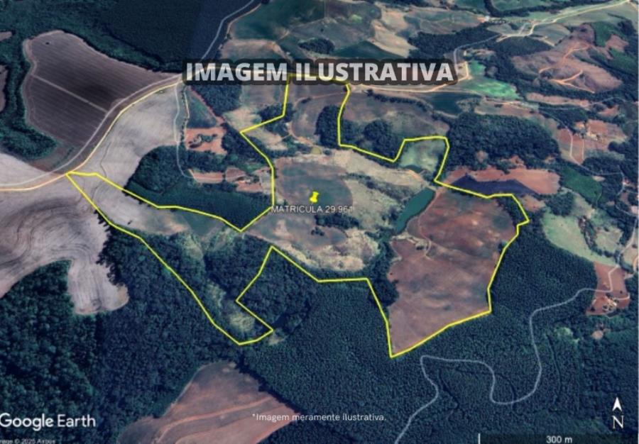 Sítio Vieira - B Prestes - 49 Hectares - Itapeva/SP